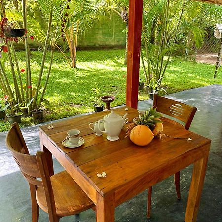 Jasmin Homestay Marakolliya Tangalle Exterior photo