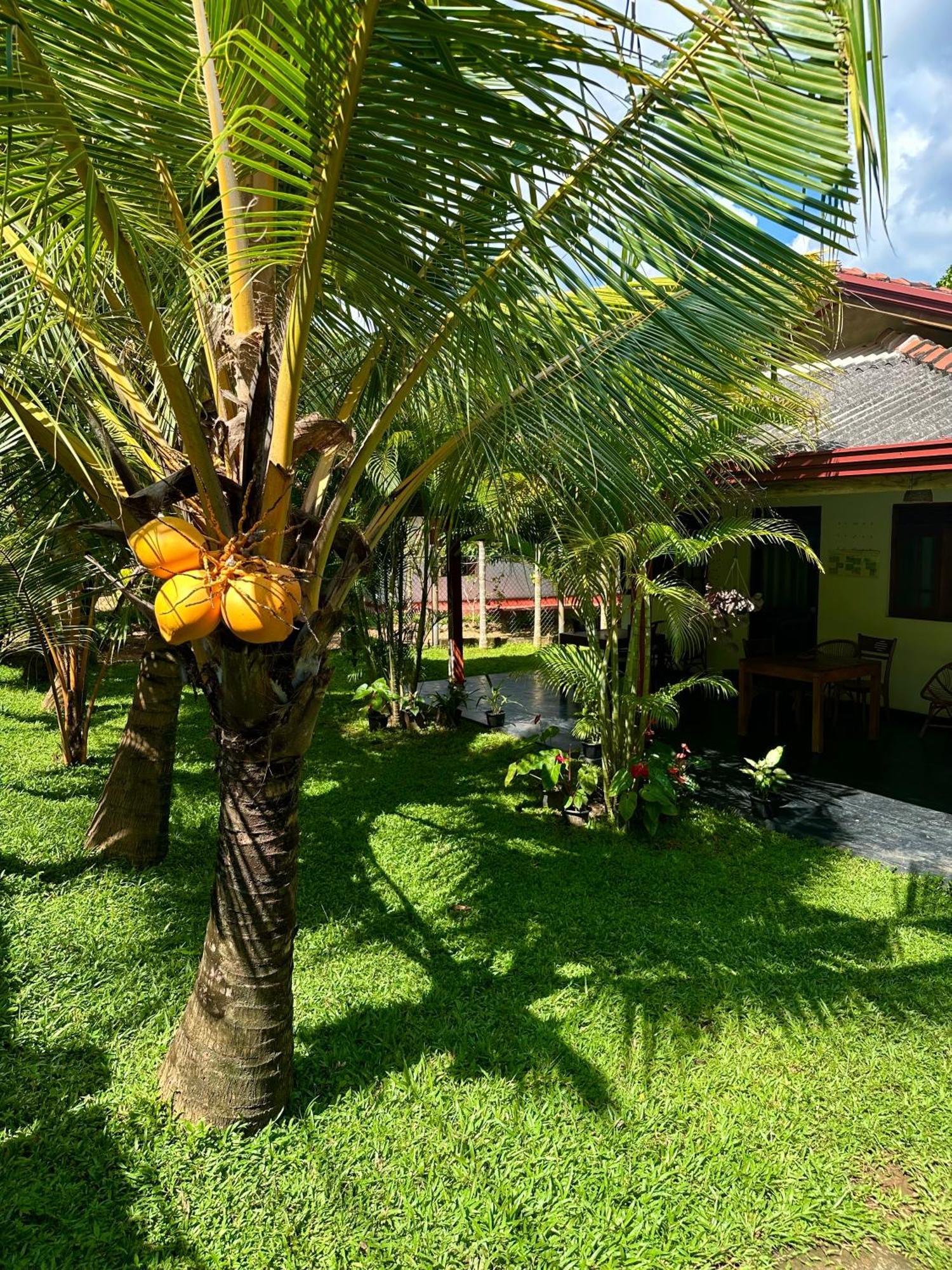 Jasmin Homestay Marakolliya Tangalle Exterior photo