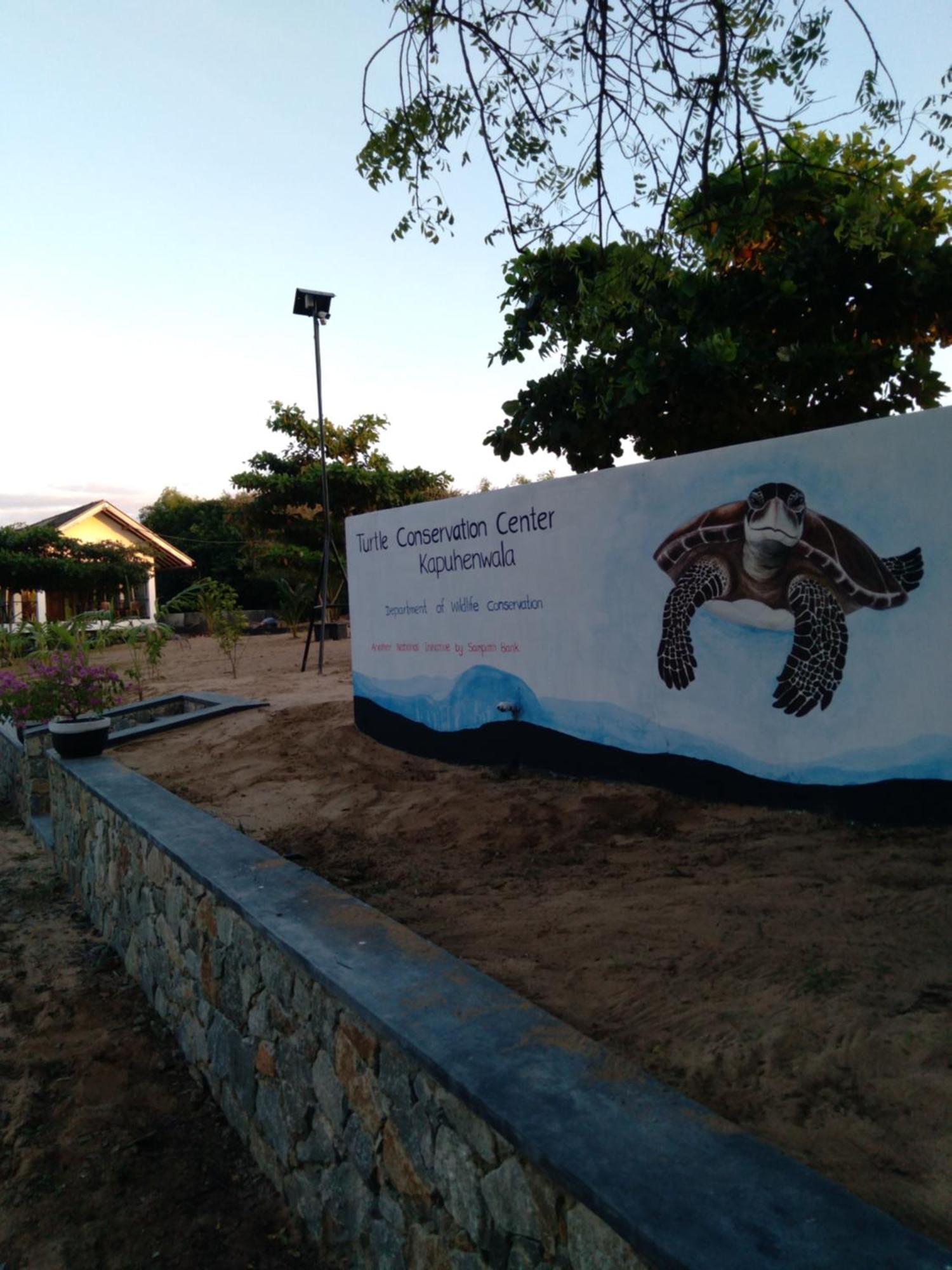 Jasmin Homestay Marakolliya Tangalle Exterior photo